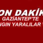 24058960_601443493364129_1490336402507241143_n