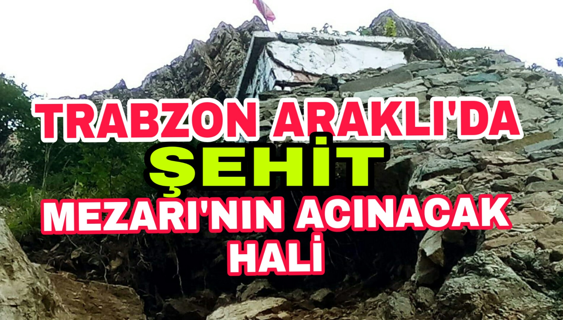 PicsArt_10-11-05.14.39