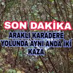 PicsArt_11-12-04.02.35