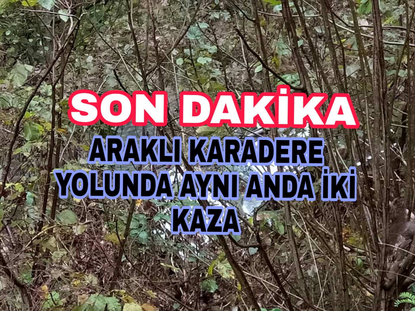 PicsArt_11-12-04.02.35