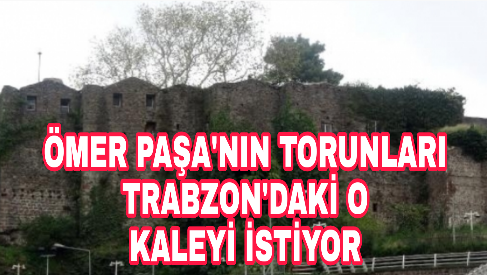 PicsArt_11-15-03.35.17