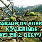 PicsArt_11-20-03.46.35