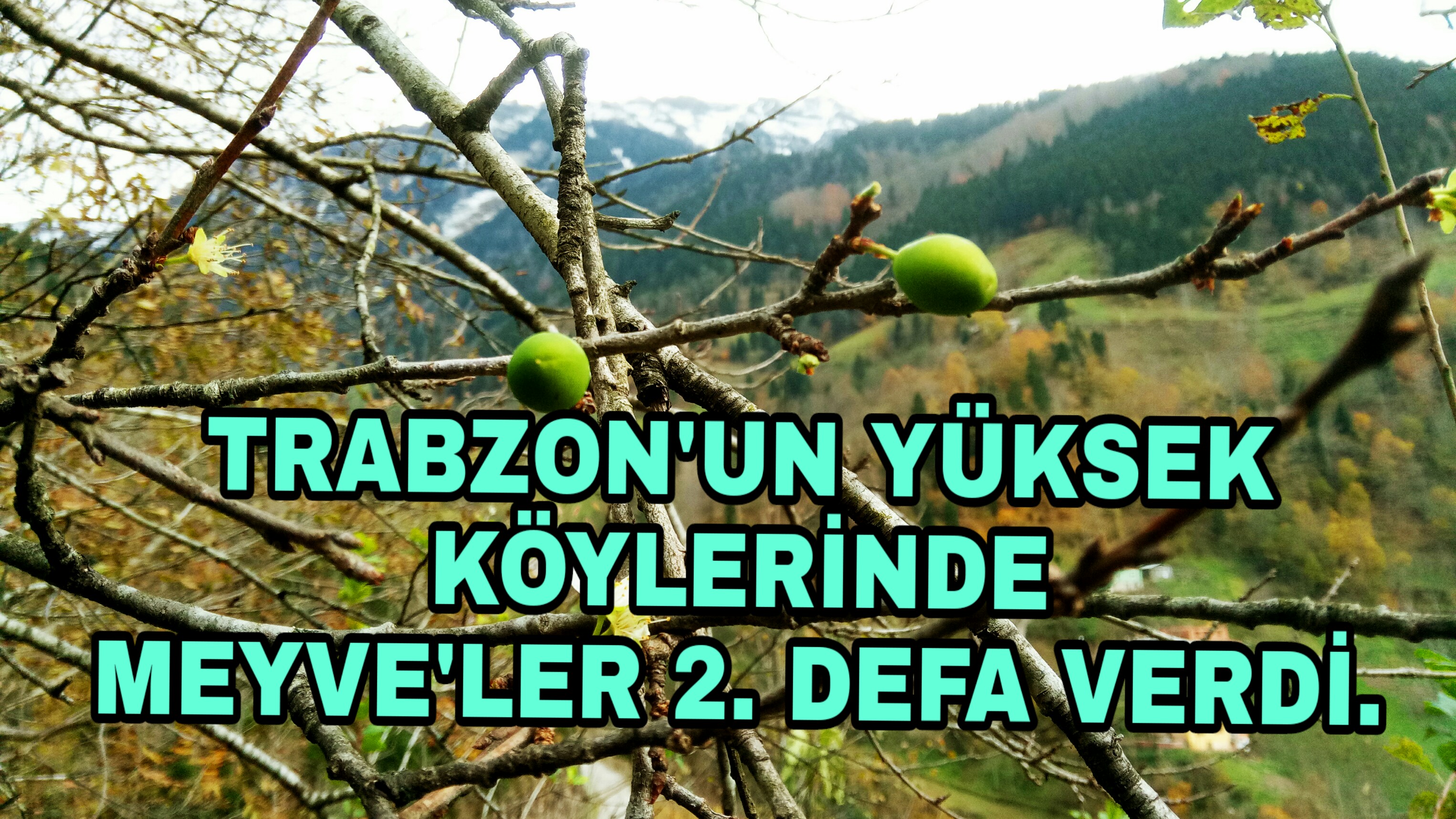 PicsArt_11-20-03.46.35