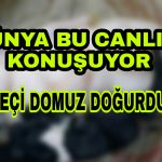 PicsArt_11-23-02.40.44