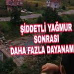 PicsArt_11-23-10.10.20