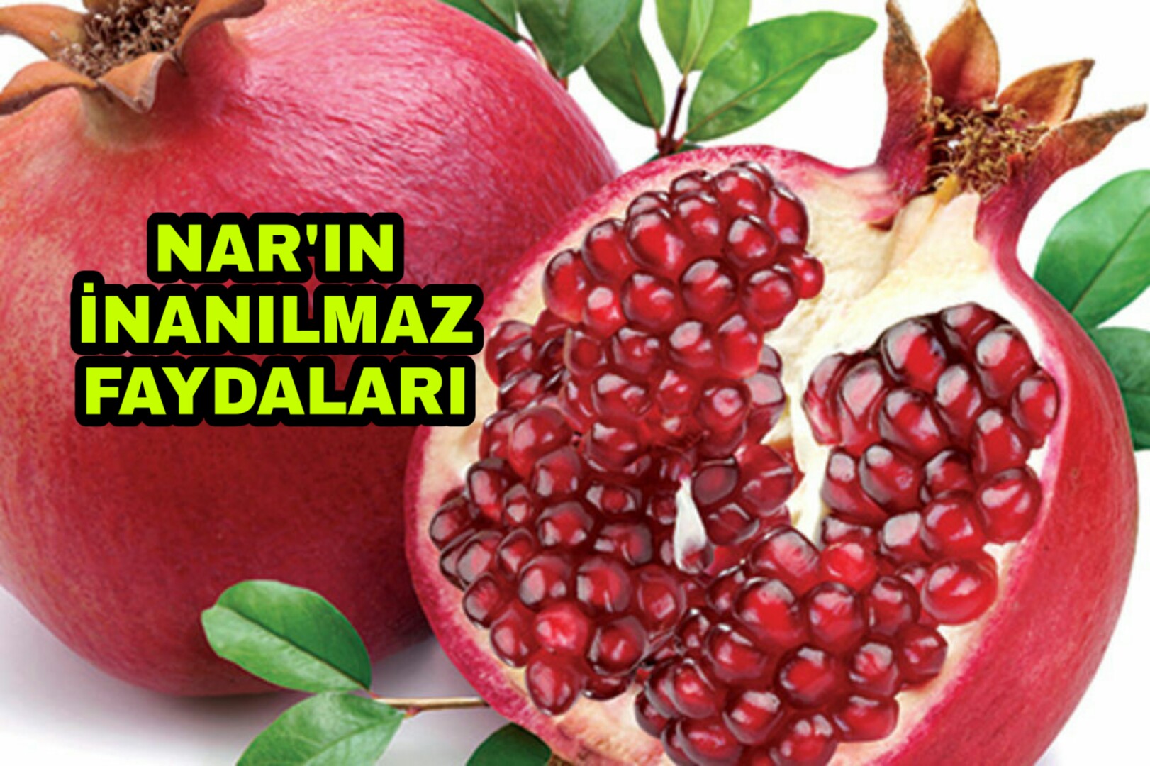 PicsArt_12-07-03.52.16