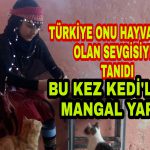 PicsArt_12-28-06.25.31