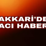 PicsArt_12-29-08.00.53