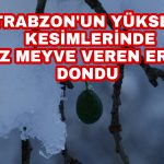 PicsArt_12-30-06.37.27