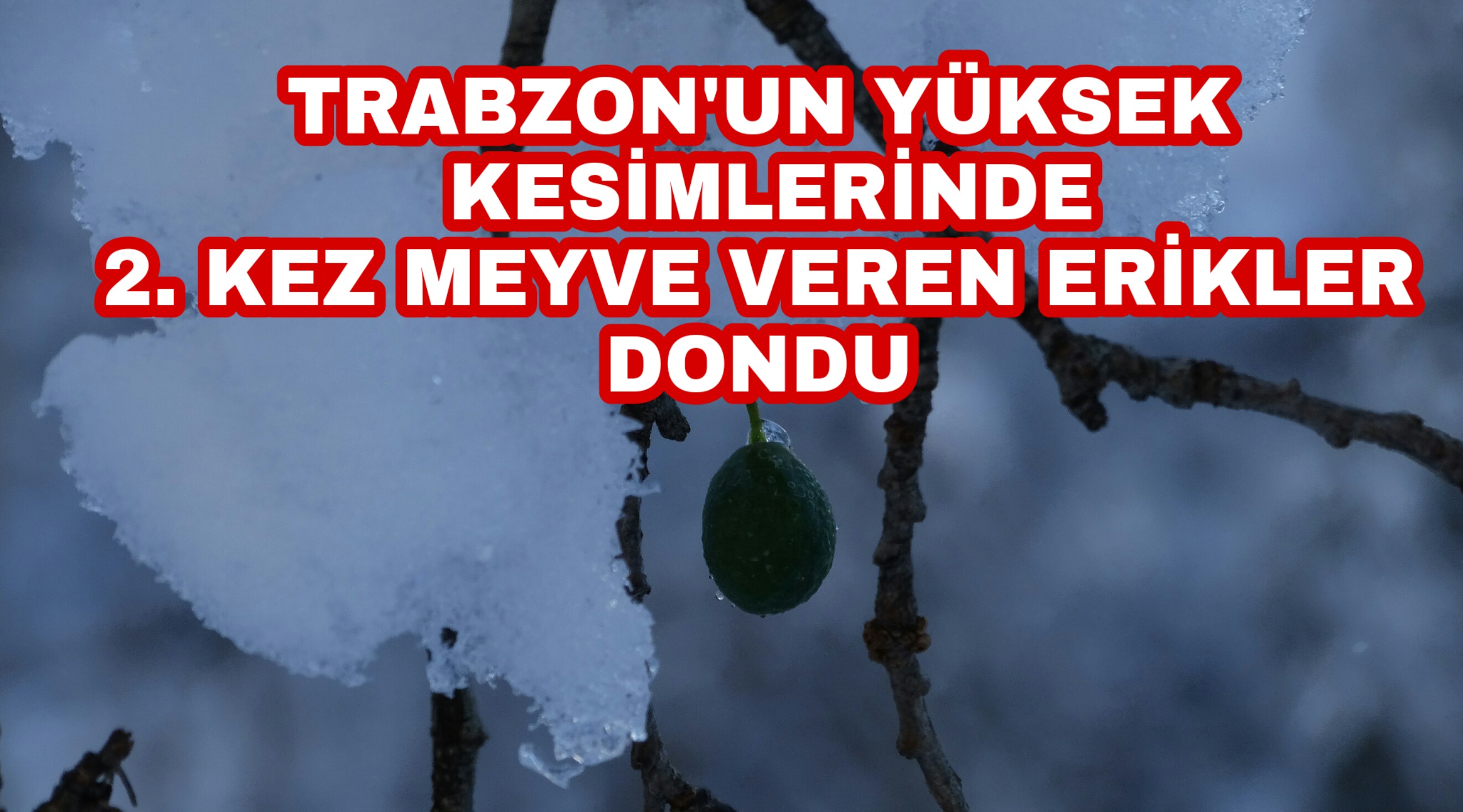 PicsArt_12-30-06.37.27