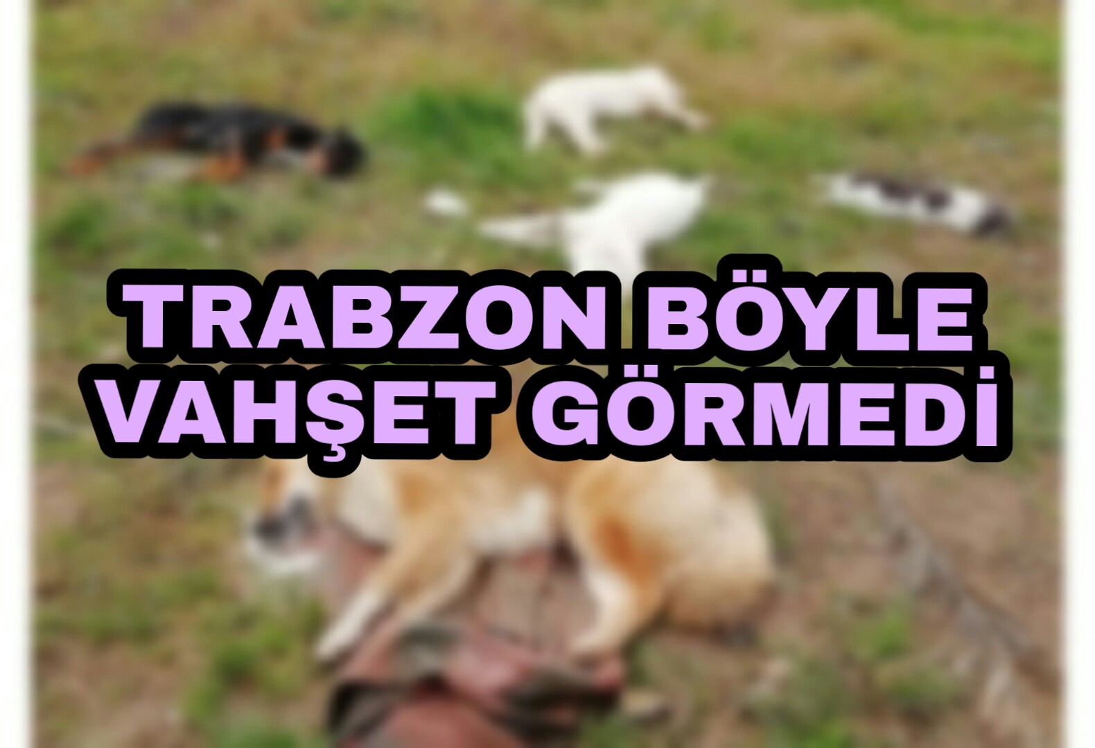 PicsArt_12-30-07.53.05