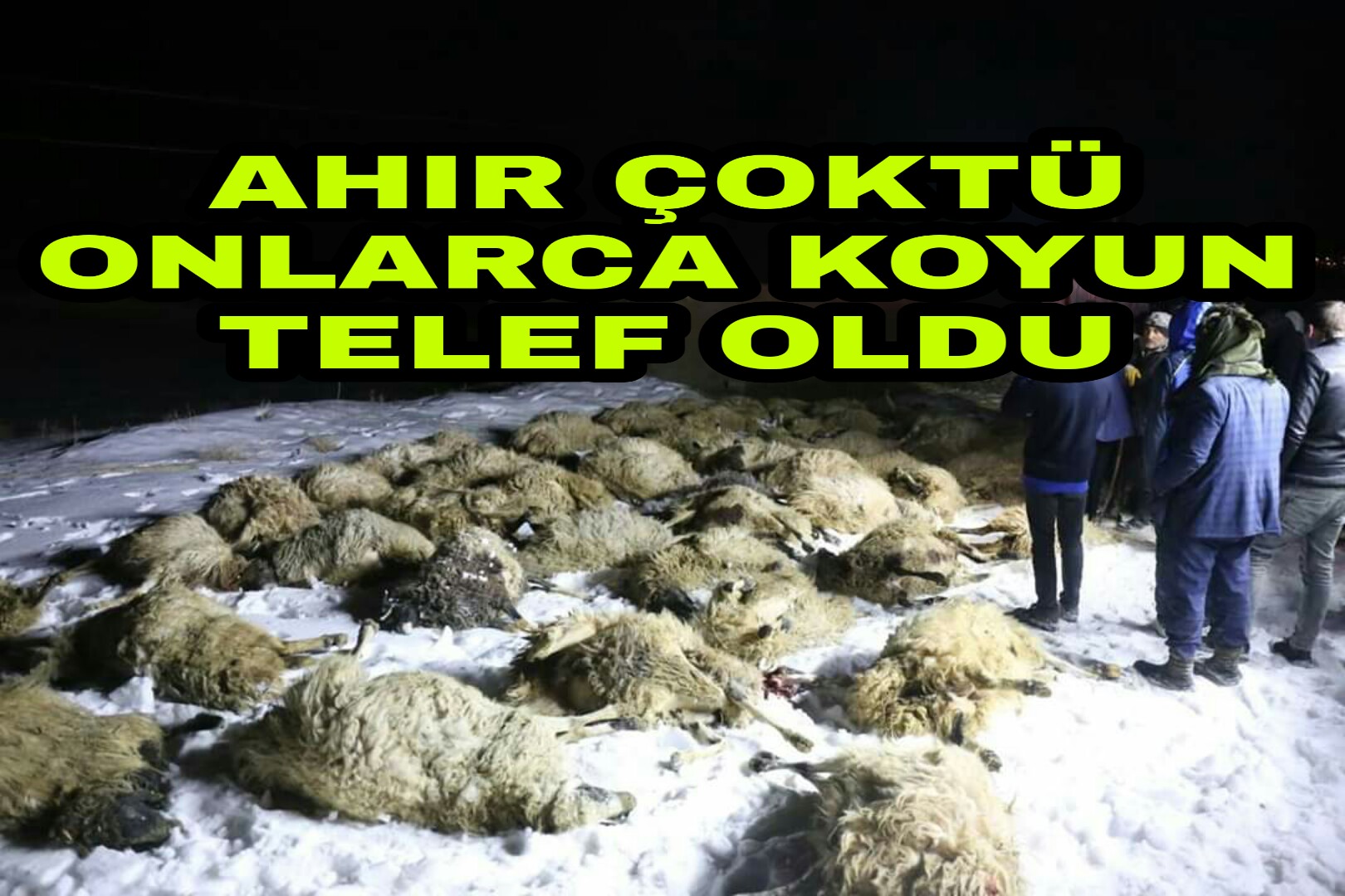 PicsArt_01-06-11.30.19