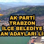 PicsArt_01-10-10.41.33