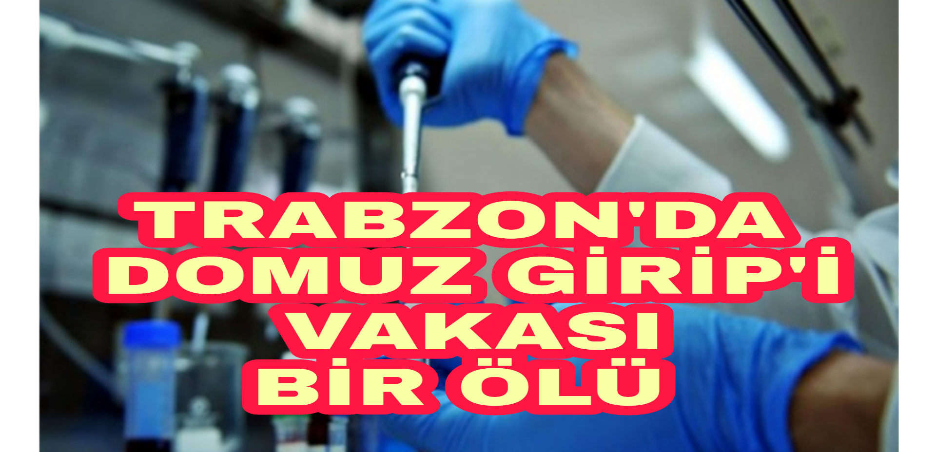 PicsArt_01-24-12.46.13