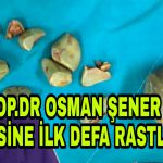 PicsArt_03-08-07.00.47