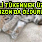 PicsArt_03-11-05.13.42