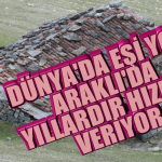 PicsArt_04-16-02.36.32