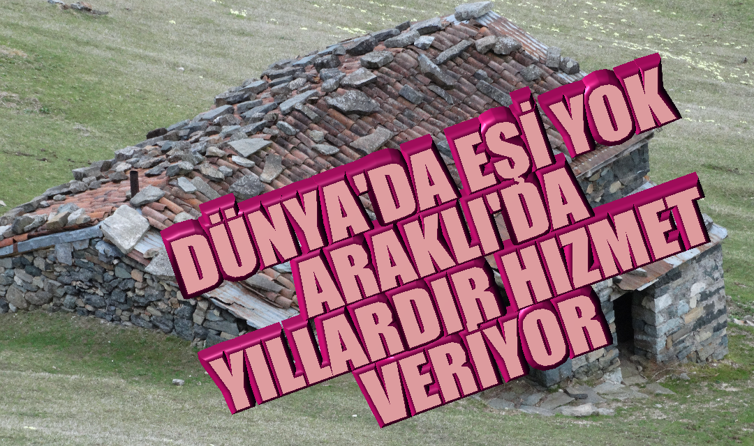 PicsArt_04-16-02.36.32