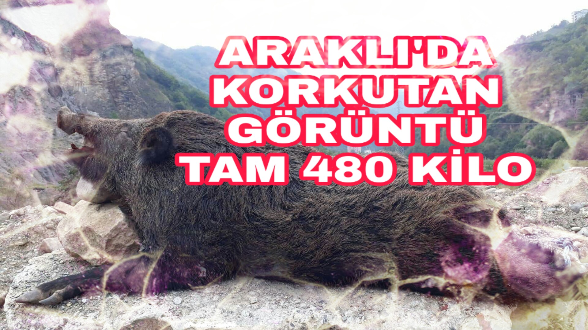 PicsArt_10-06-07.08.09