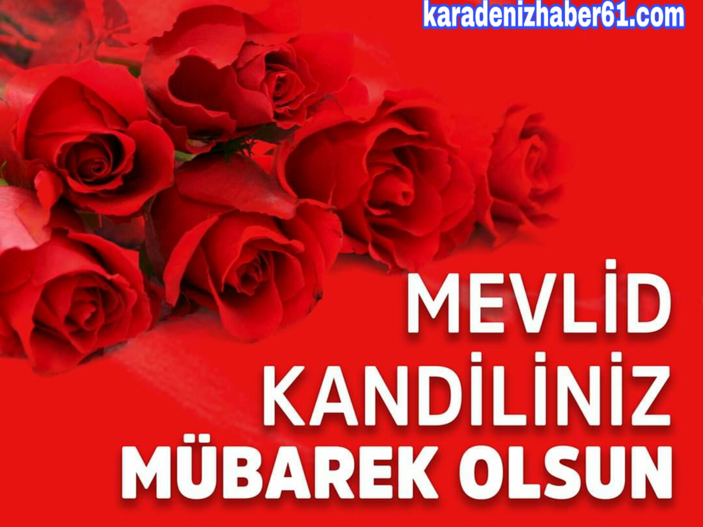 PicsArt_11-08-05.48.50