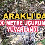 PicsArt_11-16-04.42.34