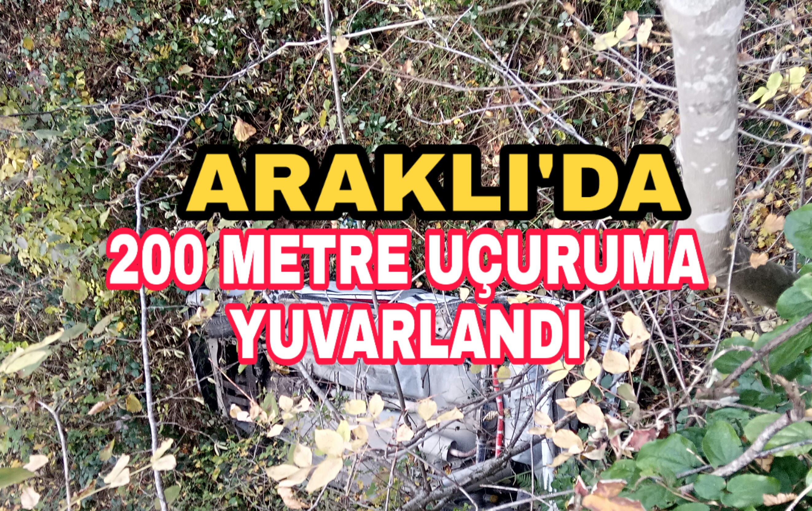 PicsArt_11-16-04.42.34