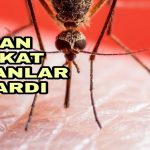 PicsArt_11-25-07.02.44