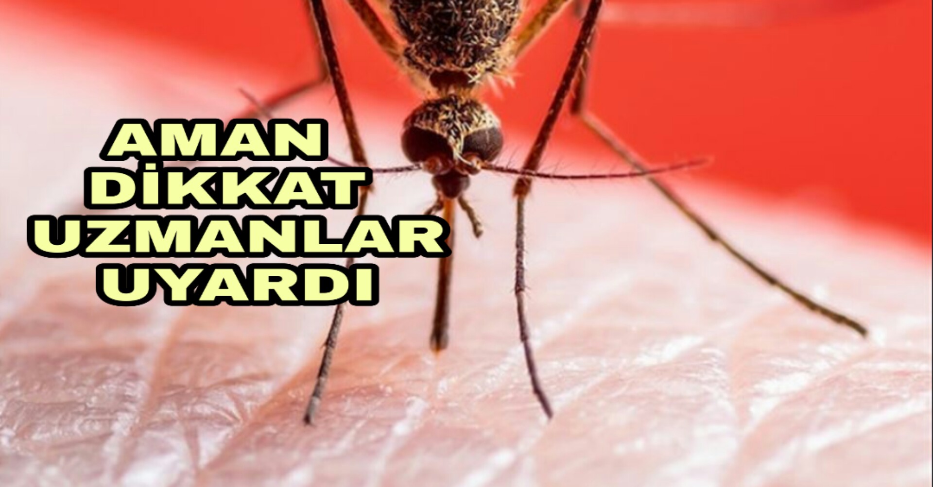 PicsArt_11-25-07.02.44