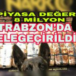 PicsArt_11-29-12.46.03