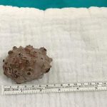 FB_IMG_1576308685856