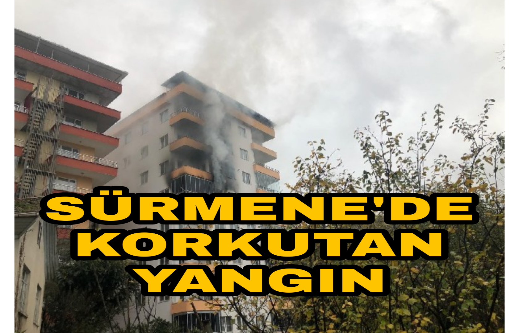 PicsArt_12-01-04.43.21