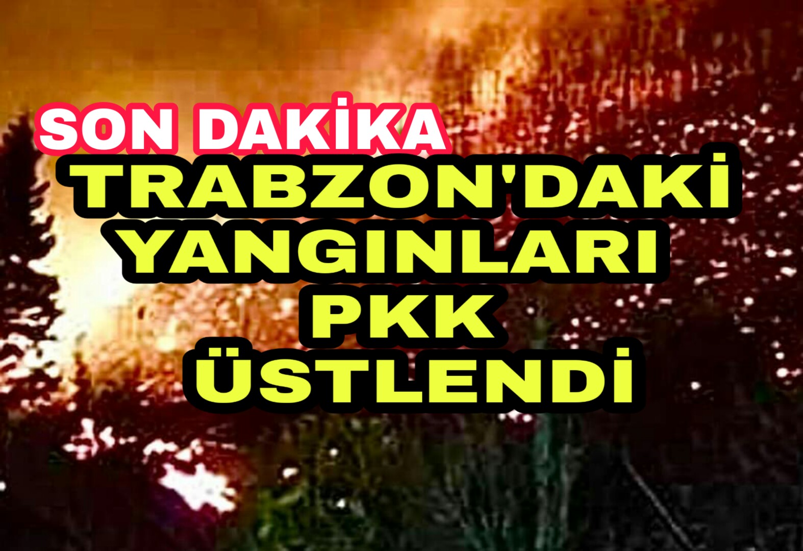 PicsArt_12-24-10.37.15