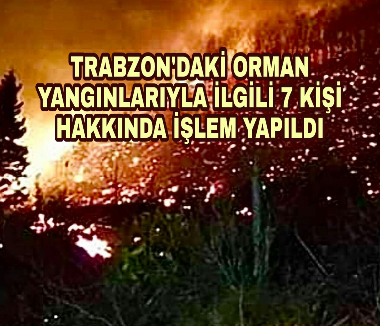 PicsArt_12-25-01.16.01