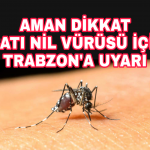 PicsArt_12-31-06.13.53