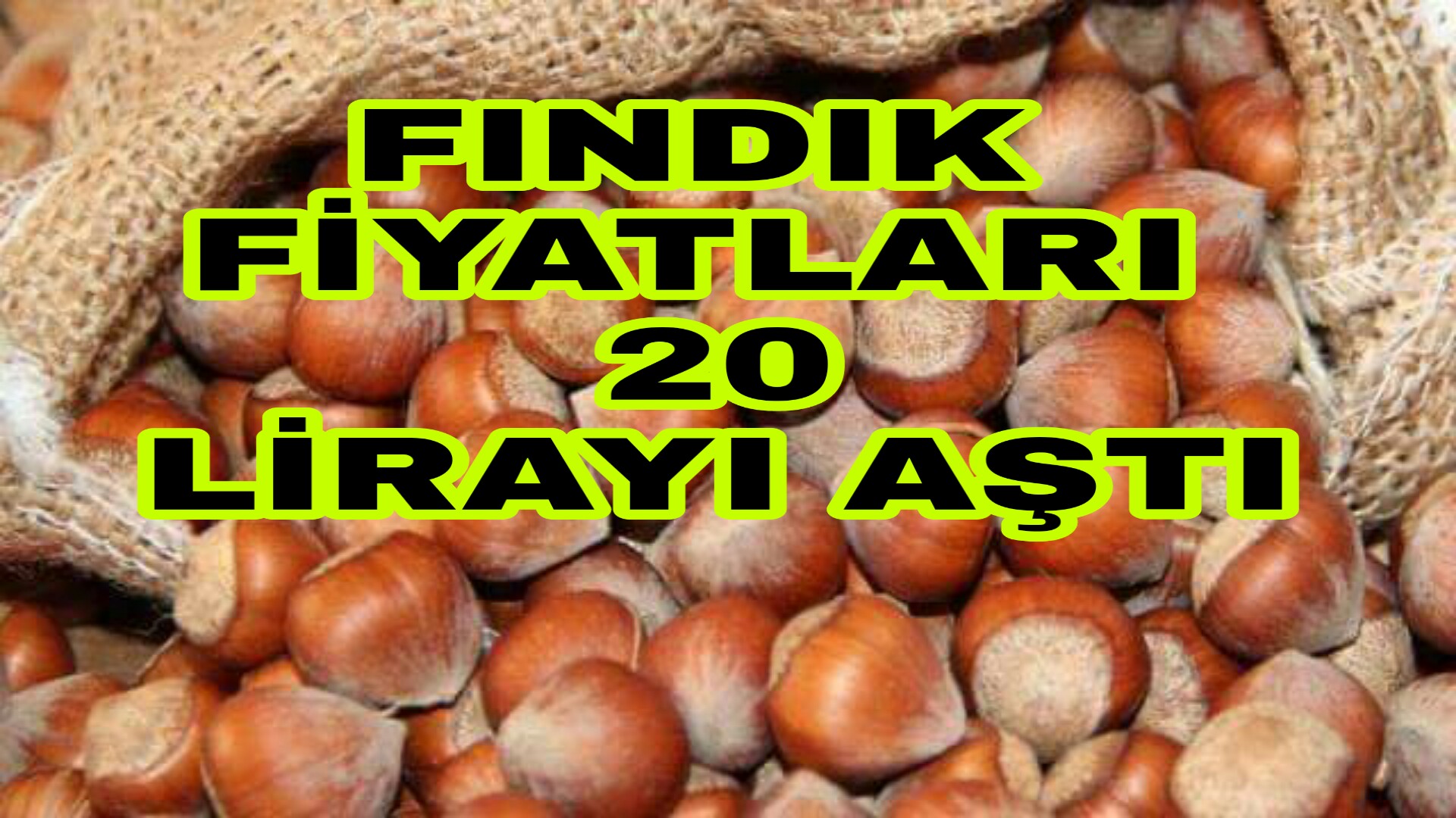 PicsArt_01-09-05.48.23