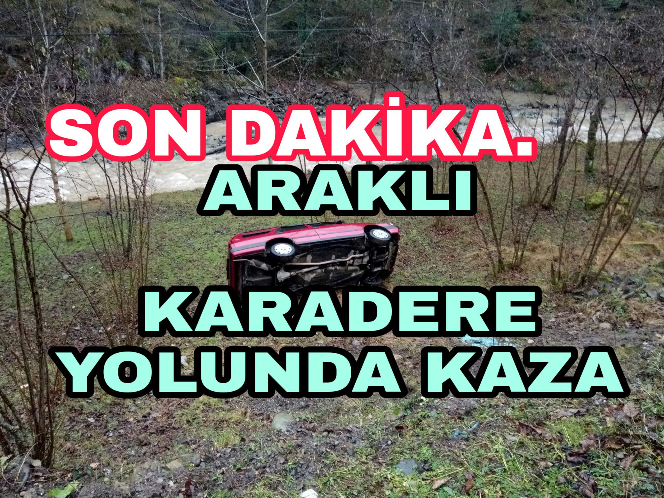 PicsArt_01-12-04.59.46