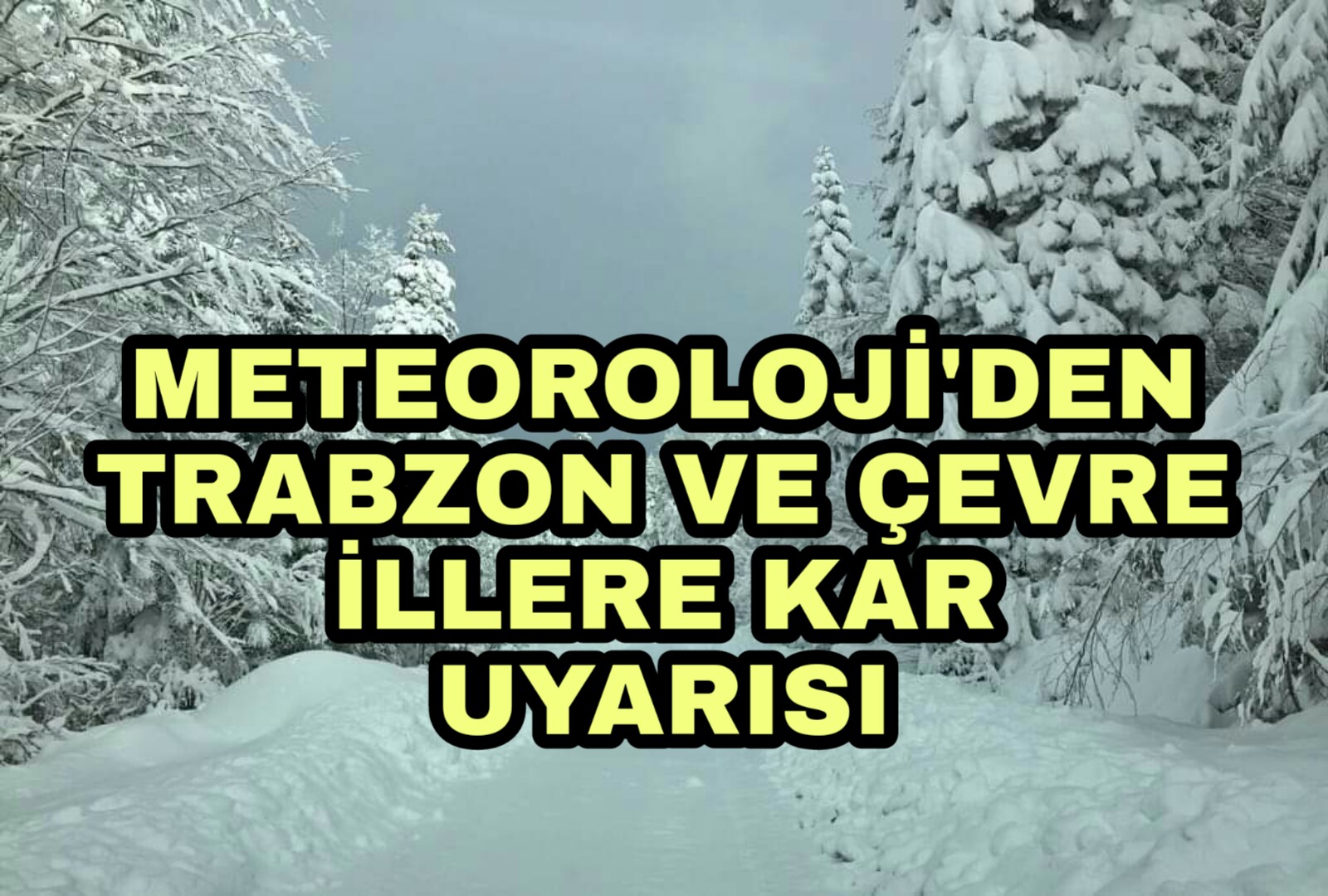 PicsArt_01-12-12.26.22