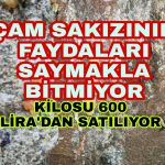 PicsArt_01-17-08.43.10