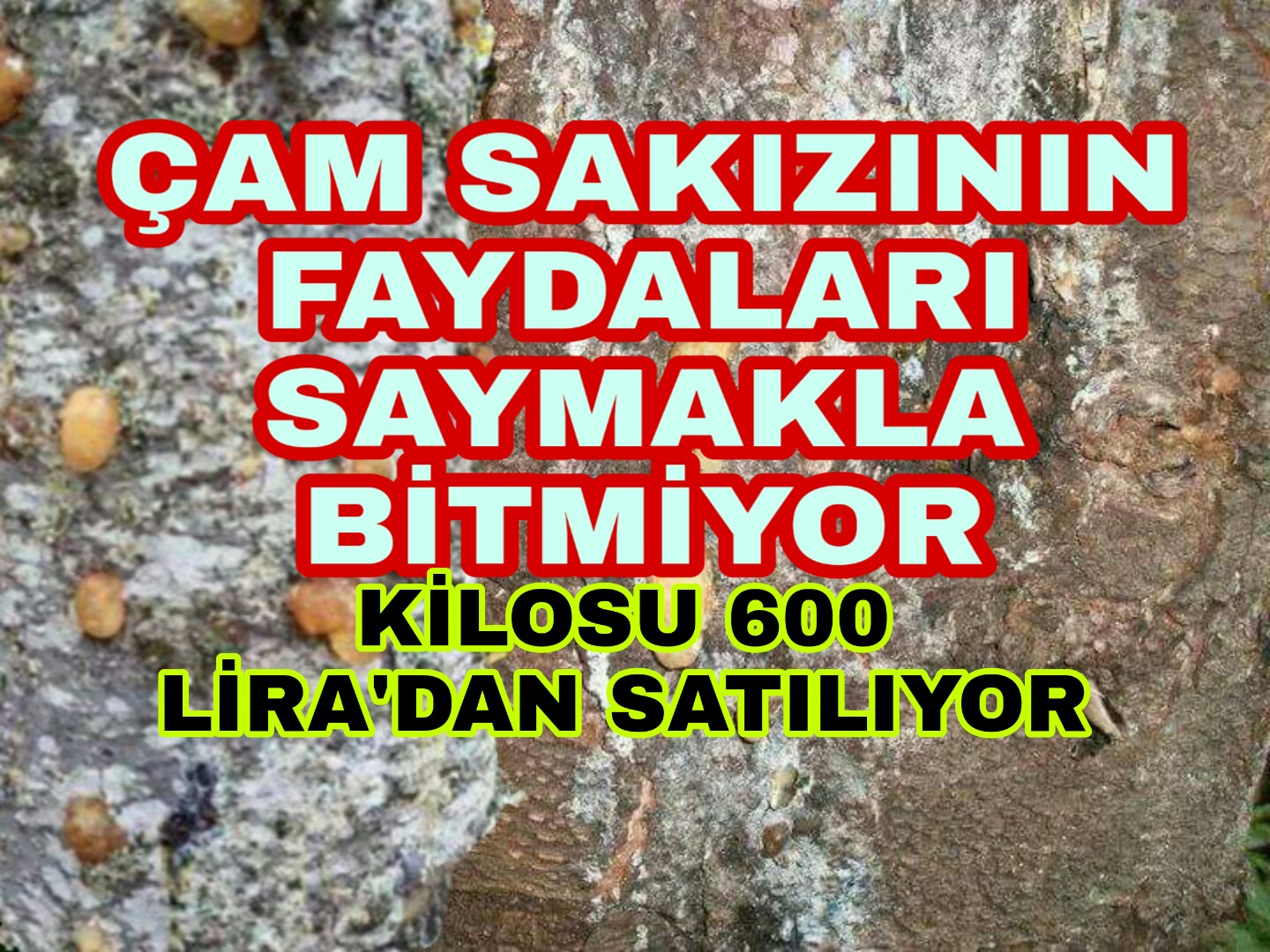 PicsArt_01-17-08.43.10