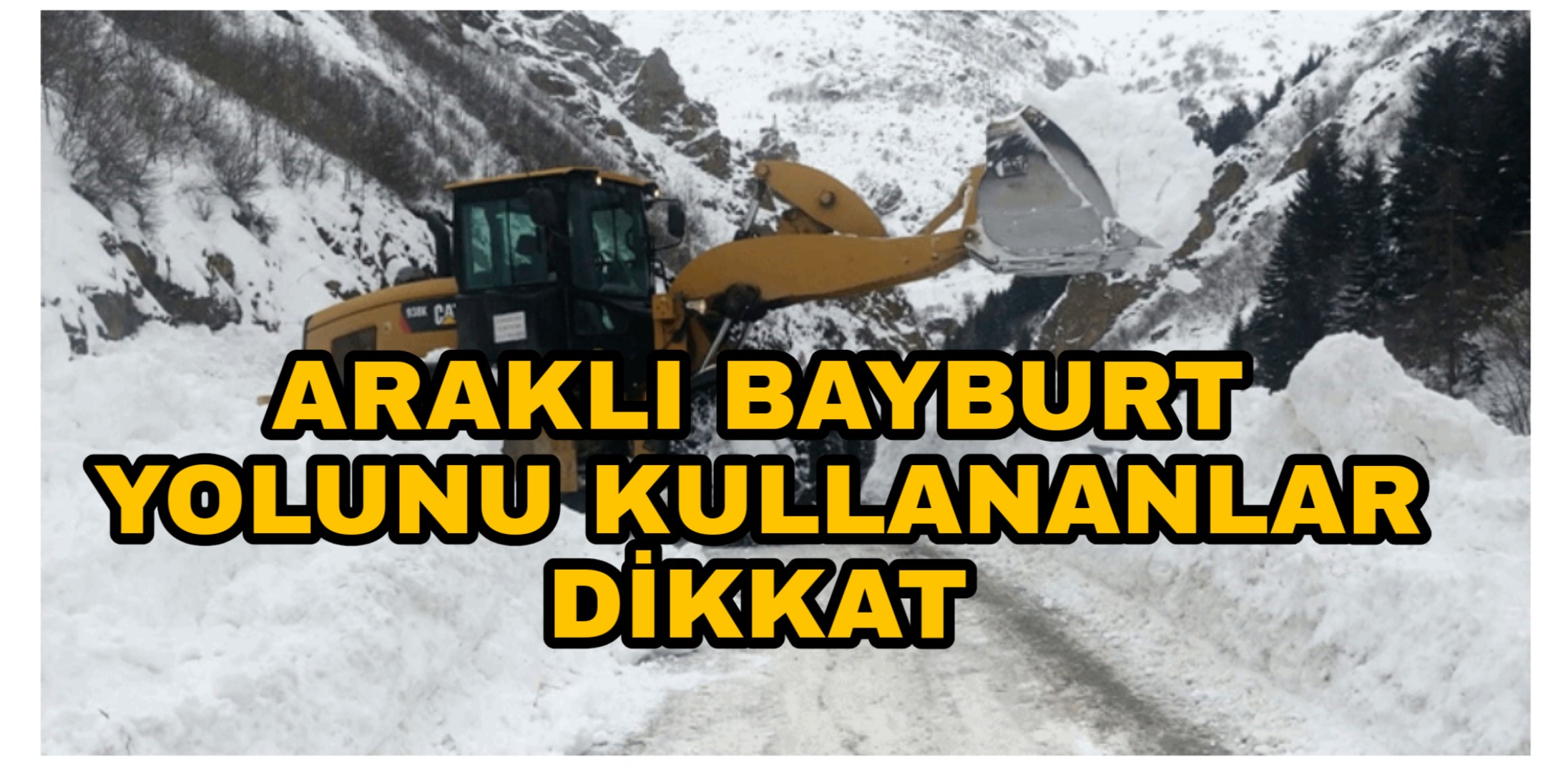 PicsArt_02-05-02.54.25