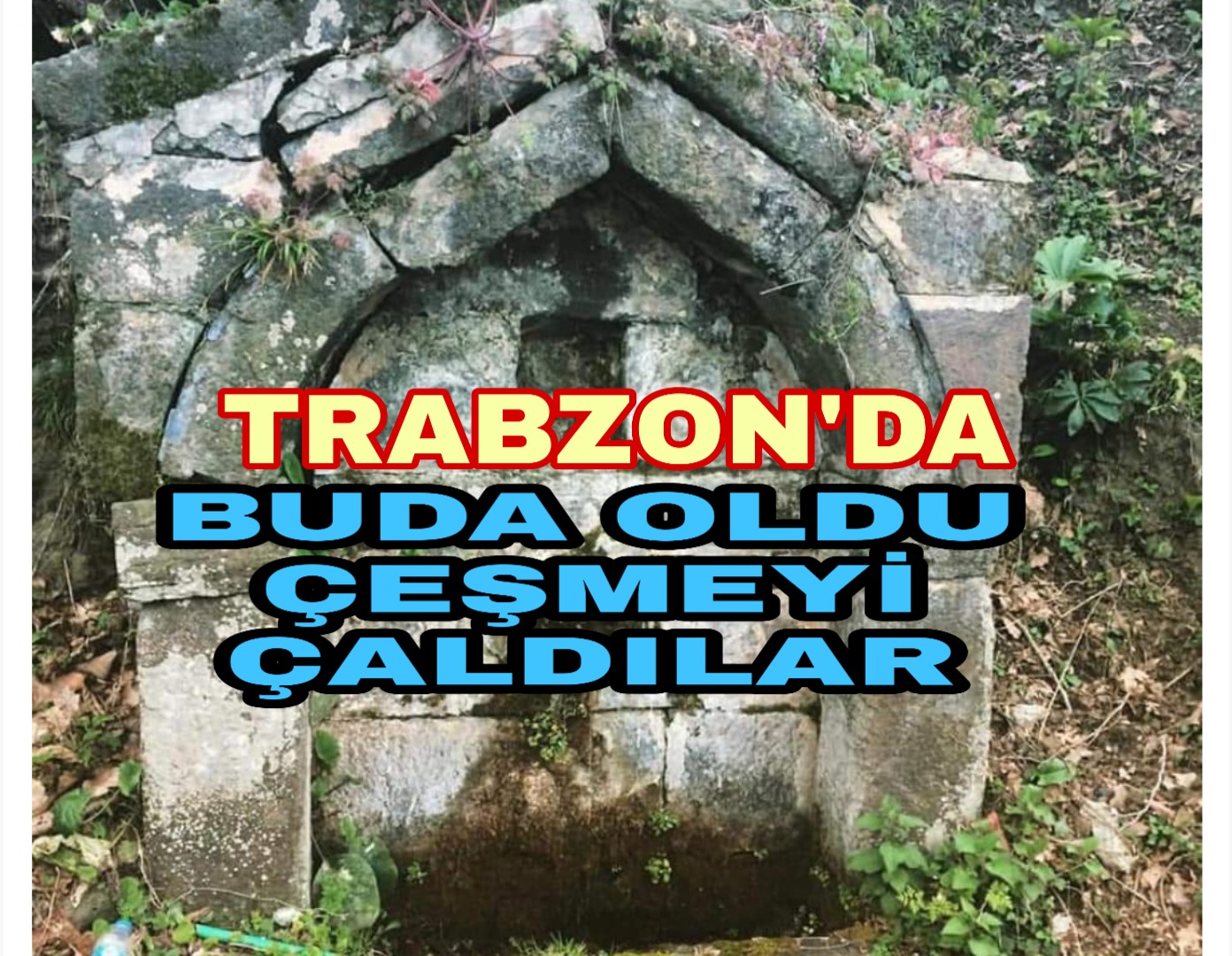 PicsArt_02-07-08.20.35