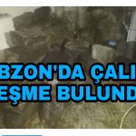 PicsArt_02-08-10.28.05