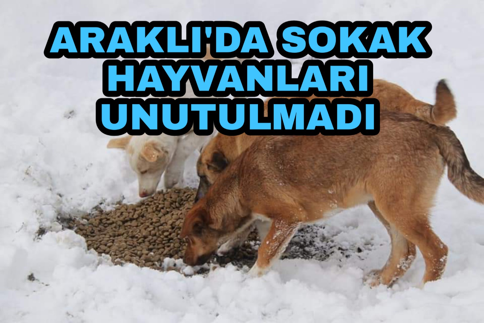 PicsArt_02-10-07.16.24