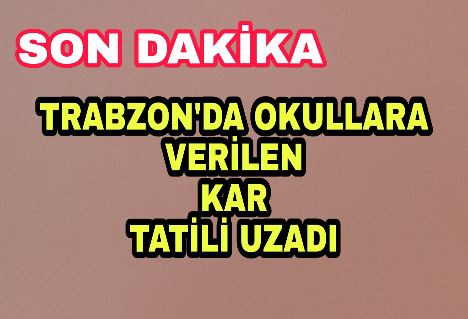 PicsArt_02-11-02.39.03