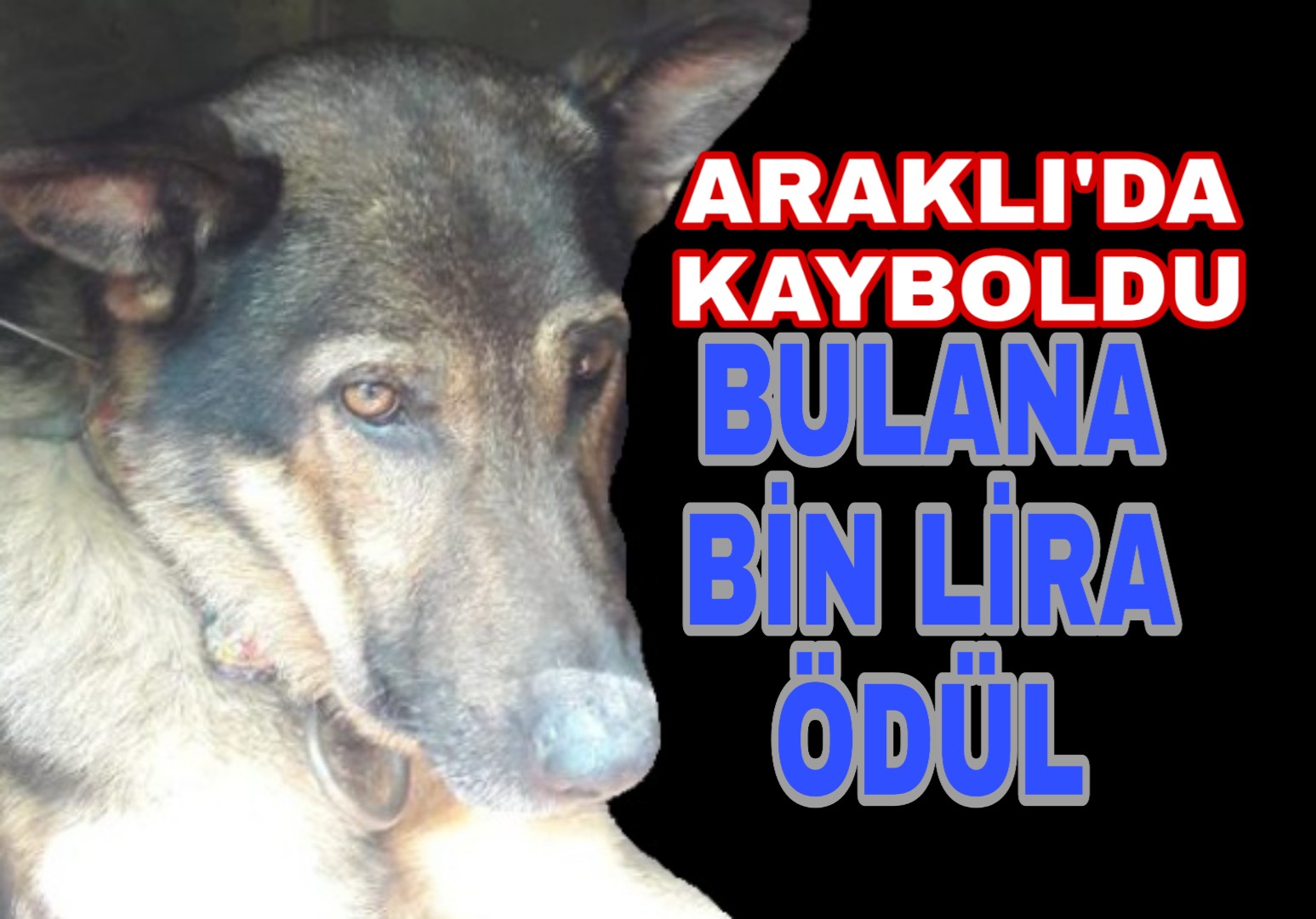 PicsArt_02-13-10.30.33