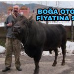 PicsArt_02-24-10.20.56