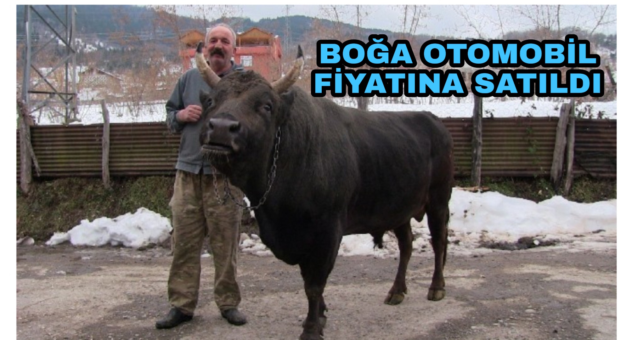 PicsArt_02-24-10.20.56