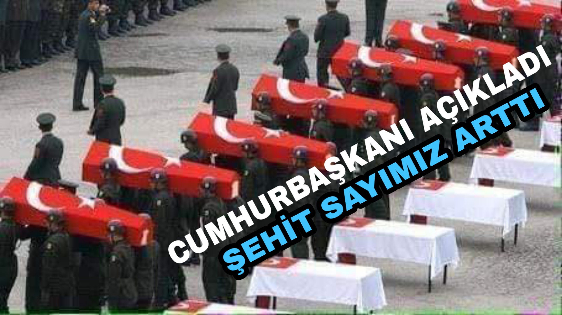 PicsArt_02-29-01.01.34