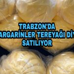 PicsArt_03-06-01.05.39