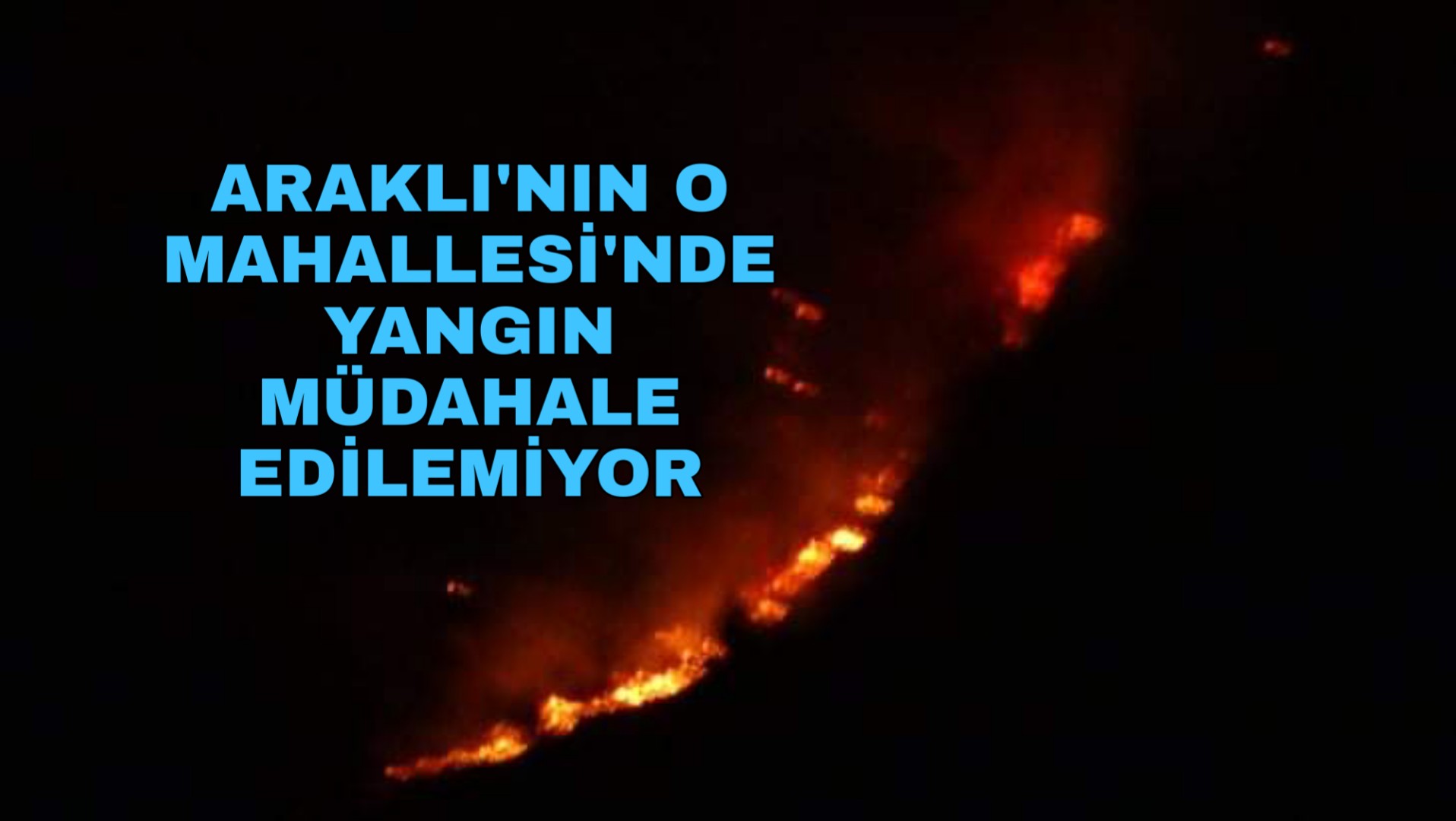 PicsArt_03-09-07.49.17